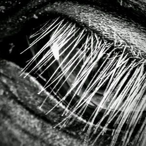 Meet your Posher, Jessie